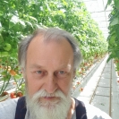 Wiesław Teodorowicz