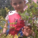 Paweł Gutowski